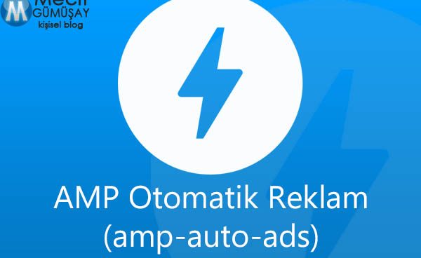 AMP sayfanızda Otomatik Reklam (amp-auto-ads) Kullanımı